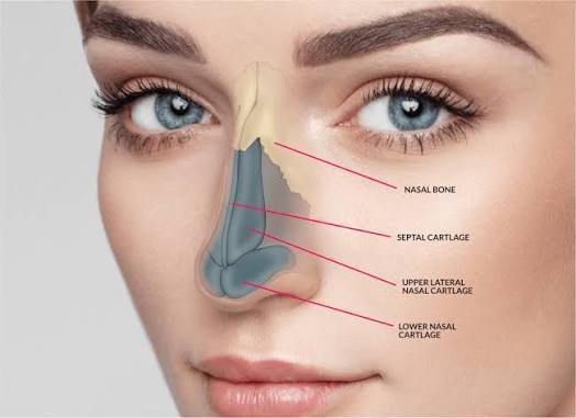 Rhinoplasty before and after example from Dr. Cory Torgerson's published gallery